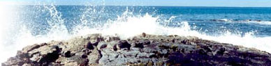 IslandGolf.com
